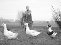 autor: Aleksandra Grembocka SGI &bull;&nbsp;przedmiot: Warsztaty fotograficzne &bull;&nbsp;prowadzący: Piotr Król