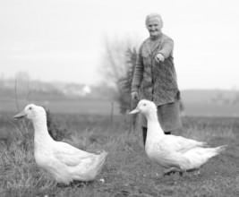 autor: Aleksandra Grembocka SGI &nbsp; &bull; &nbsp; przedmiot: Warsztaty fotograficzne &nbsp; &bull; &nbsp; prowadzący: Piotr Król