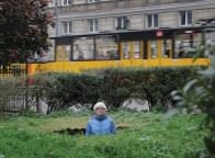 Karolina Breguła &bull;&nbsp;Wyrwać z korzeniami &bull;&nbsp;praca, na którą składa się 1 fotografia.