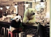 autor: Adelina Jędruszak SG II &bull;&nbsp;przedmiot: Photoshop &bull;&nbsp;prowadzący: Cezary Szulc