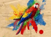 autor: Paulina Serwatka SGI &bull;&nbsp;przedmiot: Photoshop