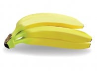 autor: Kamila Panasiuk SGzI &bull;&nbsp;przedmiot: Illustrator