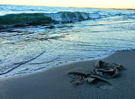 Plener WSR/WSBMiR - Sopot 2025