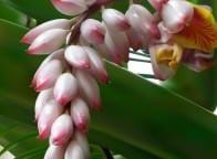 autor: Magda Paprocka SGzI &bull;&nbsp;przedmiot: Illustrator