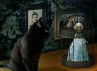 autor: Adelina Jędruszak SG II &bull;&nbsp;przedmiot: Photoshop &bull;&nbsp;prowadzący: Cezary Szulc