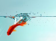 autor: Agnieszka Tomasik SGz I &bull;&nbsp;przedmiot: Illustrator &bull;&nbsp;prowadzący: Cezary Szulc